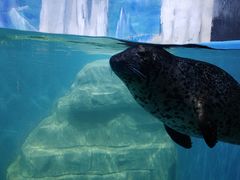 -多彩贵州城极地海洋世界