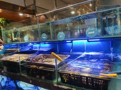 水产区-喜庭海鲜自助(来福士店)