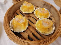 蟹皇烧卖-潮福城大酒楼·潮粤菜·港式点心(阳光城店)