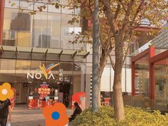 -岭南站NOVA