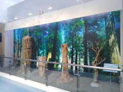 -延庆地质公园博物馆