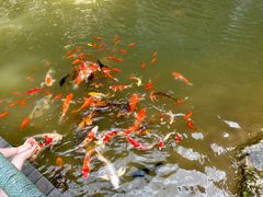 -陶祖圣境风景区