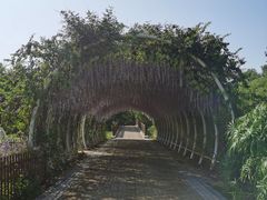 -同里国家湿地公园