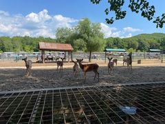 -哈尔滨北方森林动物园