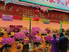 -天河体育中心