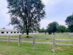 -北京群众马术培训基地