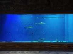 -华夏文旅西安度假区