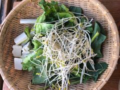 -马帮菜馆·美味野生菌