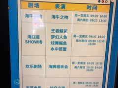 -烟台海昌鲸鲨海洋公园