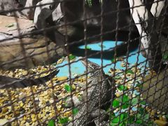 -苏州海洋馆