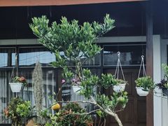 -乌布德传统市场