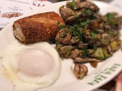 -Tapa Tapa
