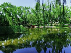 -玲珑塔公园