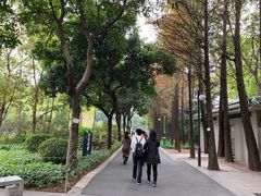 景点-晓港公园