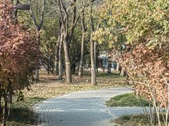 -回龙观体育文化公园