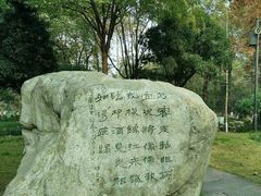 -桂湖森林公园