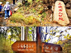 -三块石国家森林公园