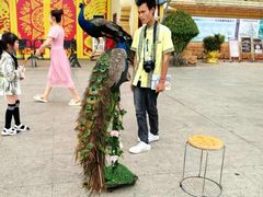 -西双版纳总佛寺