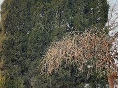 -杨家埠民间艺术大观园