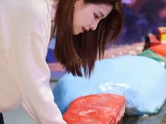 -顺德南宏海立方海洋公园