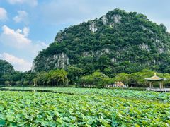-星湖旅游景区七星岩