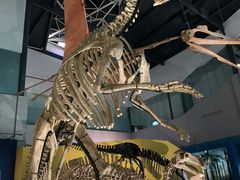 -湖南省地质博物馆