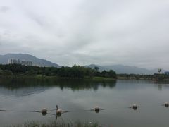 -飞来湖湿地公园