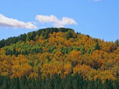 -塞罕坝国家级自然保护区