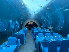 -海棠湾洲际-涛·海底餐厅·美人鱼·自助餐·海底隧道