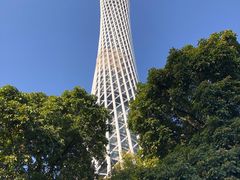 -赏点粤式点心(广州塔店)