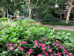 -衡山路(地铁站)