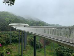 -光明小镇欢乐田园