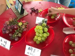 -马陆小张葡萄园农家乐