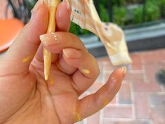 -IL paperino帕帕里诺冰激凌