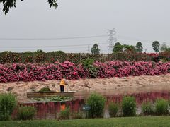 -上海辰山植物园