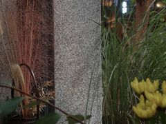 -扫雪煮茶(西村店)