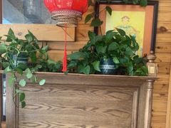 -大清花饺子(山庄店)