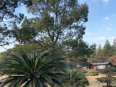 -陶祖圣境风景区