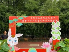 -莲花池公园
