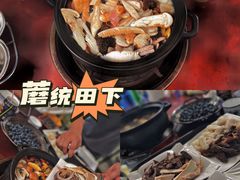 -蘑统田下·野生菌火锅