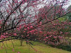 -钱江新城