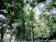 -后襄河公园