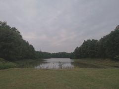 -上海海湾国家森林公园