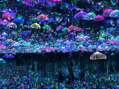 -天津梵高星空艺术馆(天河城旗舰店)