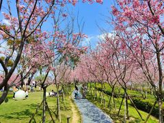 -福建鲤鱼洲酒店