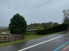 -空港花田景区