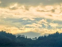 -莫干山风景区
