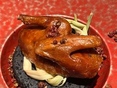 -南堂馆·新川菜(春熙路店)