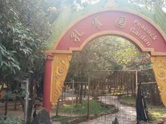 -瑞丽独树成林风景区