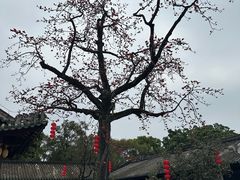 -南海神庙